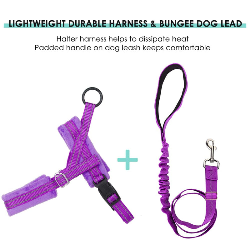 Lukovee Walking Dog Harness and Leash, Heavy Duty Adjustable Puppy Harness Soft Padded Reflective Vest Harness Anti-Twist 4FT Lead Quick Fit Lightweight for Small Dog Cat XXS ( Chest 11.5'' ~ 15'') A-Purple - BeesActive Australia