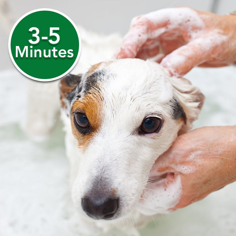 Vet's Best Medicated Oatmeal Shampoo for Dogs | Soothes Dog Dry Skin | Cleans, Moisturizes, and Conditions Skin and Coat | 16 Ounces - BeesActive Australia
