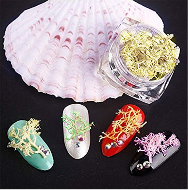 XICHEN 12 Color/PCS 3D Dry Flowers Nail Art Stickers Decoration Natural Nail Supplies - BeesActive Australia