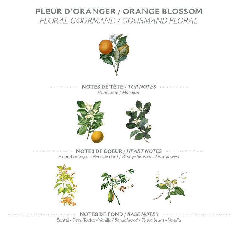 Panier des Sens Orange Blossom body lotion - Made in France 97% natural - 8.45floz/250ml - BeesActive Australia