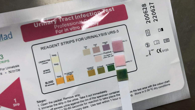 UTI Urine Test Strips Urinary Tract Infection Cystitis Tests Nitrite, Leukocytes and Blood - 2 Individual Tests… - BeesActive Australia