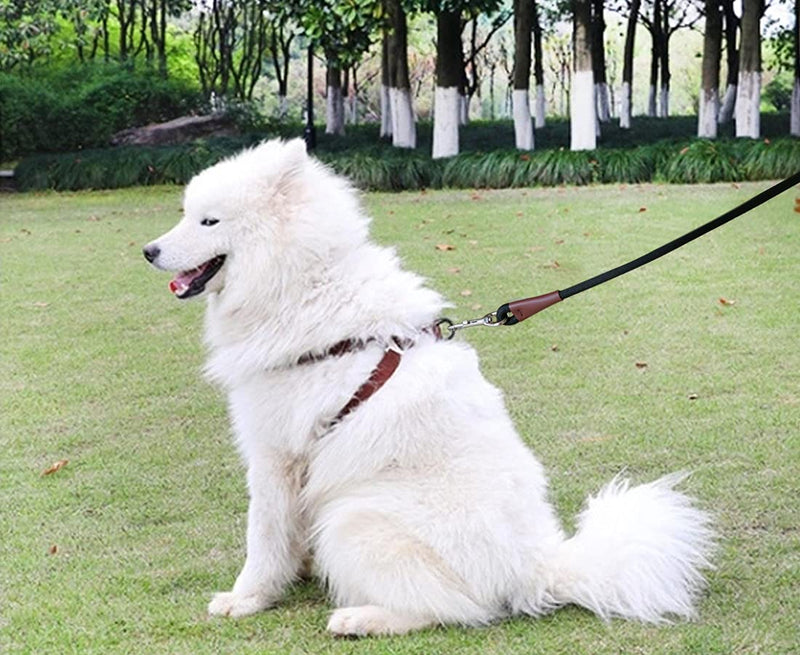 MayPaw 4FT Rope Dog Leash and Slip Collar Combain for Dog Training/Walking - BeesActive Australia