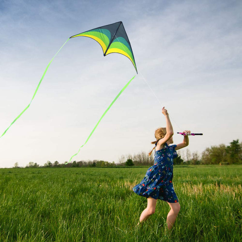 Mint's Colorful Life Delta Kite for Kids & Adults, Extremely Easy to Fly Kite, Best Kite for Beginner Black Green - BeesActive Australia