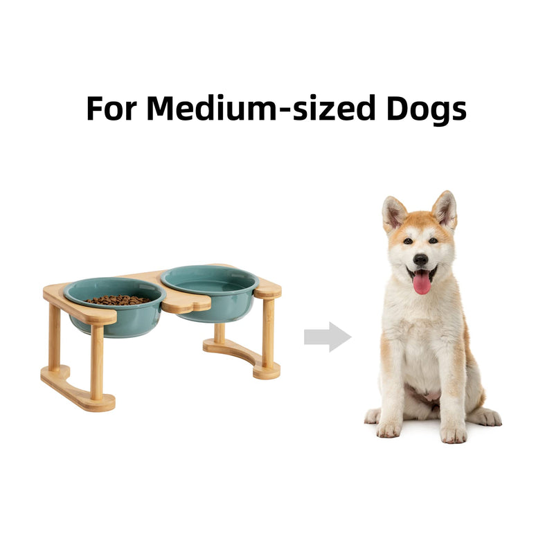 Havniva Ceramics Raised Dog Bowl with Non-Slip Stand Elevated Dog Bowl for Medium and Large Dog Food and Water Bowl Dog Dish Pet Feeding Bowl Medium - 6.9" Double - Dark Green - BeesActive Australia