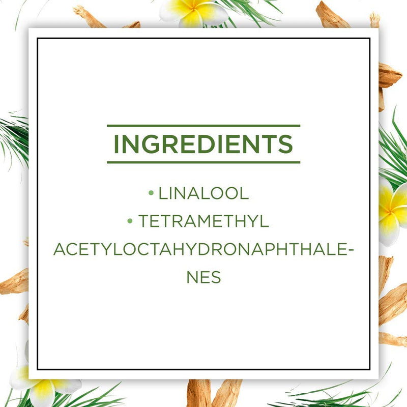 Botanica by Air Wick Scented Oil for Electrical Plug Diffuser Caribbean Vetiver and Sandalwood Refill x7, 19 ml 1 Count (Pack of 7) - BeesActive Australia