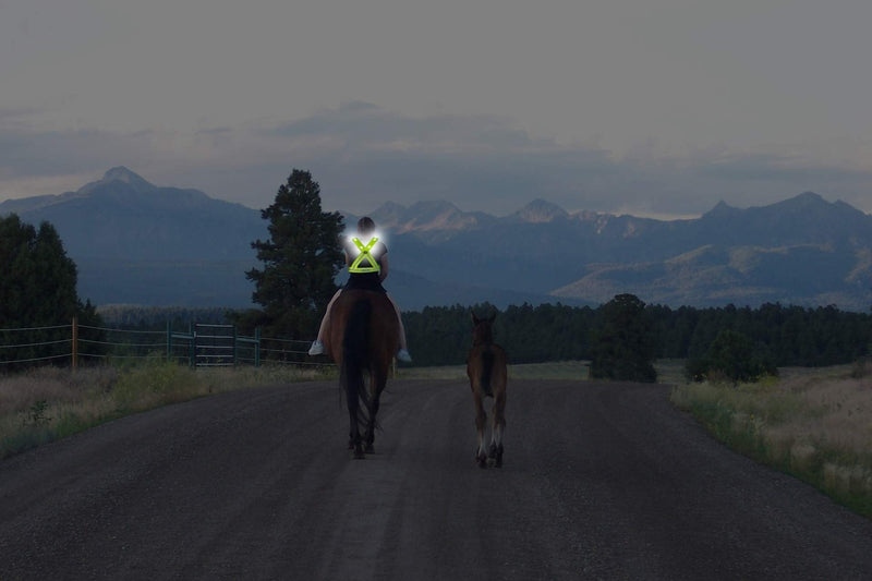 Atlecko 360° Rechargeable LED Running, Cycling, Hiking Reflective Vest & Belt for Men, Women & Kids - Safe & Comfortable - Bright Lights for High Visibility, Excellent Battery Life, Perfect for Night - BeesActive Australia