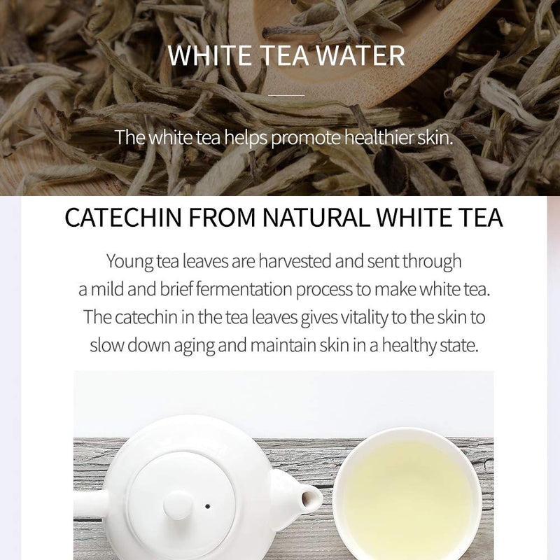 COSMETEA Korean White Tea Deep Hydrating Eye Cream with Vitamin C, Niacinamide & Amino Acids for Dark Circles, Puffiness, Eye Bags and Wrinkles - BeesActive Australia