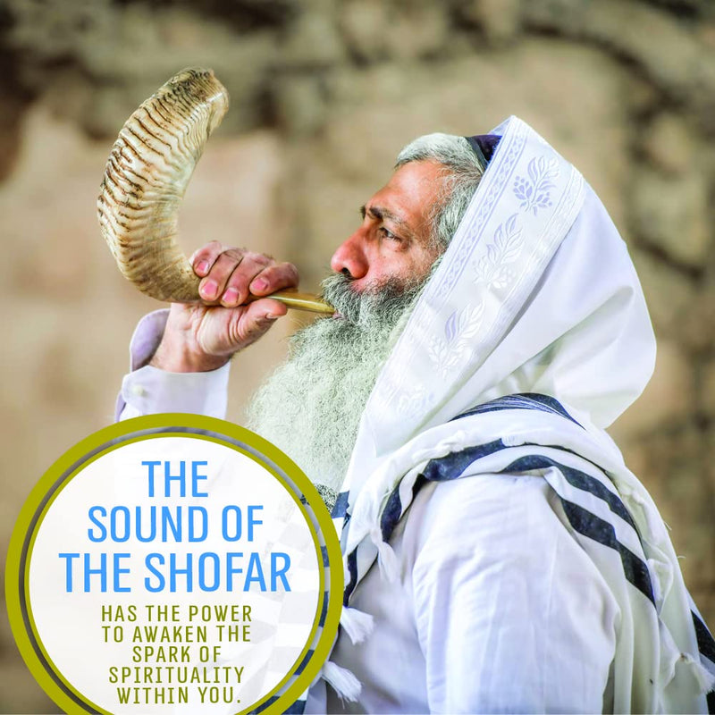 Handcrafted Kosher Ram Shofar from Israel – 16"-18" Musical Horn with Shofar Bag – Decorative, Functional Jewish Gifts for Women & Men by Holy Voice, Half Polished 16"-18" - BeesActive Australia