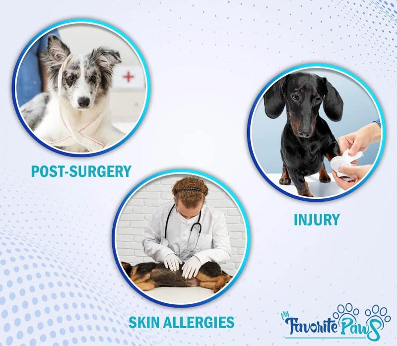 My Favorite Paws Soft Dog Cone, Dog Inflatable Recovery Collar with Adjustable Strap, Quick-Fill Air Valve, and Washable, Removable Cushion Cover for Spay, Neuter, Injuries, or Pet Grooming Medium - BeesActive Australia