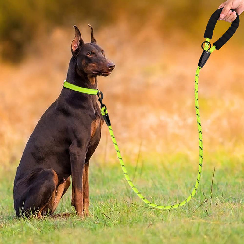 Plutus Pet Heavy Duty Rope Dog Leash with Comfortable Padded Handle, Highly Reflective Strong Sturdy 4/5/6 FT Dog Leash for Small Medium Large Dogs 1/2"×4' GREEN - BeesActive Australia