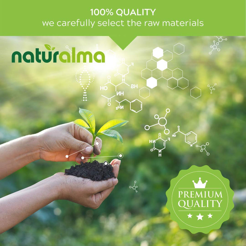 Sugar kelp or Kombu (Laminaria saccharina or L. digitata) Thallus (Seaweed) Alcohol-Free Mother Tincture Naturalma | Liquid Extract Drops 120 ml | Food Supplement | Vegan 120 ml (Pack of 1) - BeesActive Australia