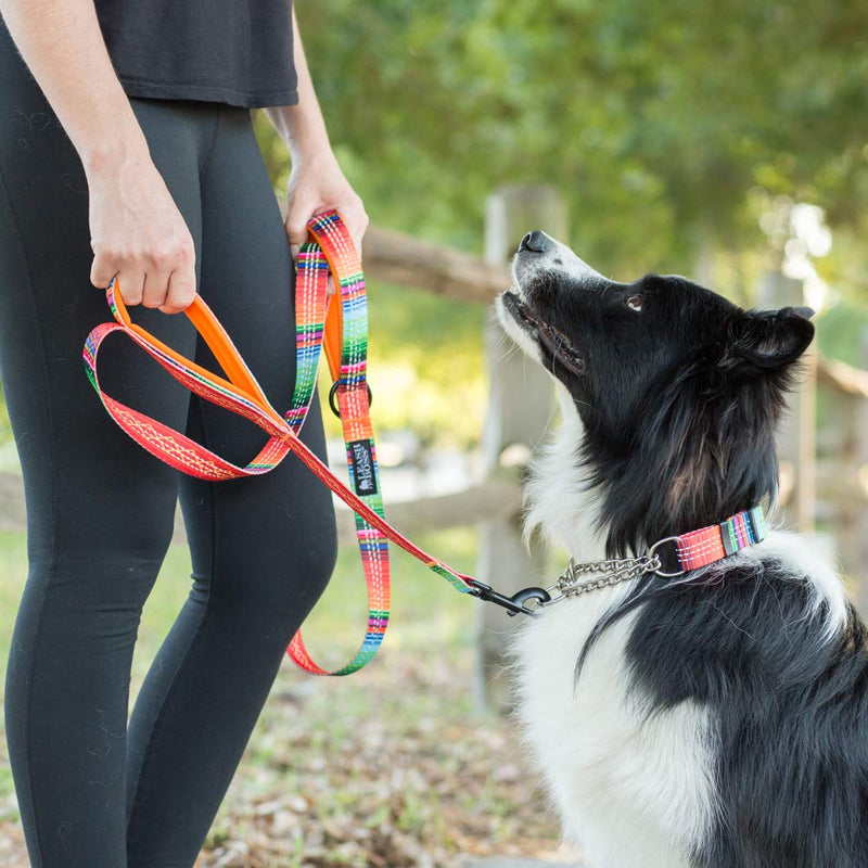 Leashboss Double Handle Dog Leash, Pattern Collection, 6Ft Reflective Dog Leash with Two Padded Handles for Large Dogs or Medium Dogs That Pull 6 Ft x 1" Wide Orange - Blanket - BeesActive Australia