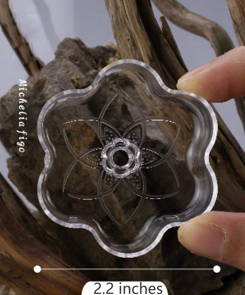 JZMYXA Aquarium Shrimp/Small Fish Feeding Dish Feeder Dish, Acrylic Material, Mini Size Magnolia Shaped - BeesActive Australia
