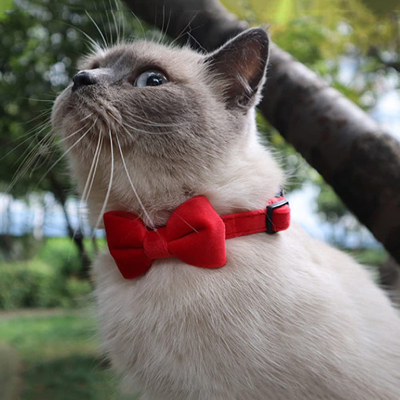 2 Pack Breakaway Cat Collars with Bell and Bowtie Comfortable Velvet Cat Collar with Cute Safety Buckle Adjustable Pet Collar for Kitty Kitten Puppy Neck Accessories for Daily Wearing Kitten One Size Brown & Pink - BeesActive Australia