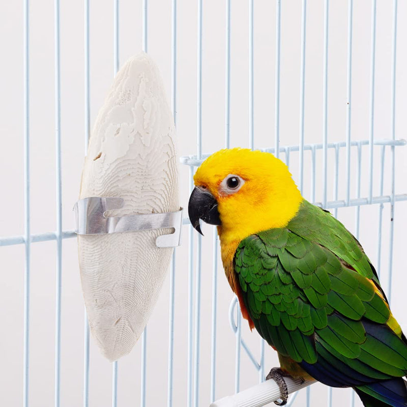 Jmxu's 5"-5.5" Bird Cuttlebone for Parakeets, Cuddle Bone with Metal Holder, Chewing Cuttlefish Bone for Sharp Beaks, Natural Birds Calcium Suitable for Parrots Cockatiels Budgie 6 pack-5"-5.5" each - BeesActive Australia