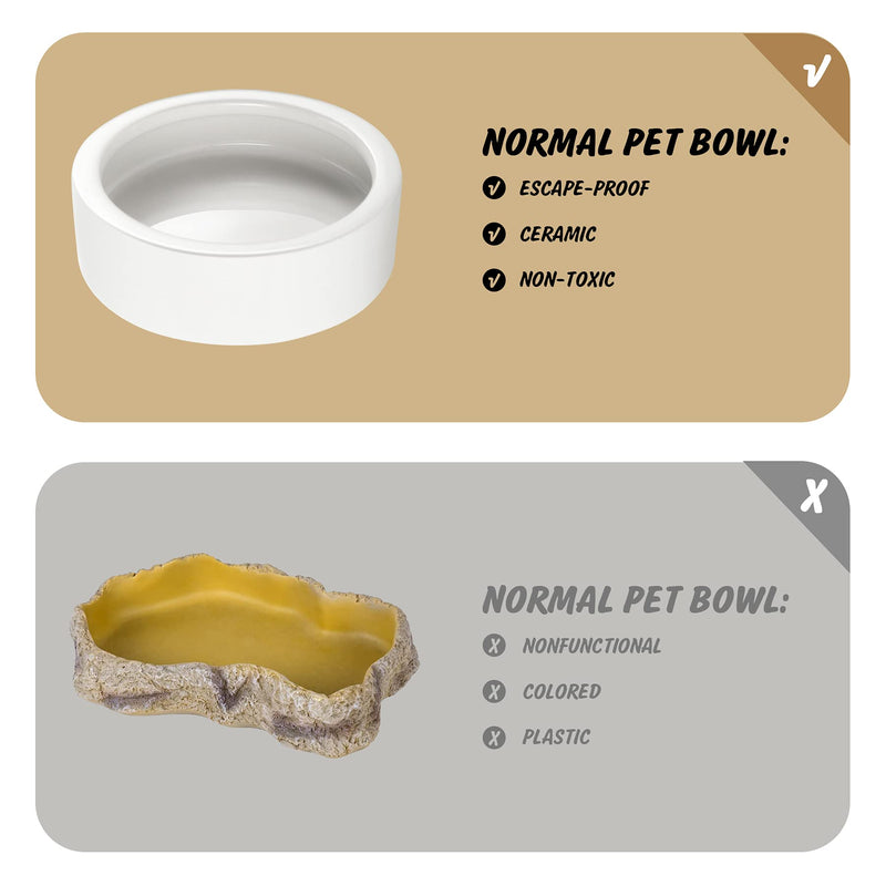 Reptile Food Dish Bowl, Worm Water Dish Small (2.75in) Lizard Gecko Ceramic Pet Bowls, Mealworms Bowls for Leopard Bearded Dragon Chameleon Hermit Crab Dubia Cricket Anti-Escape Mini Superworm Feeder Small-2Pack 1White - BeesActive Australia