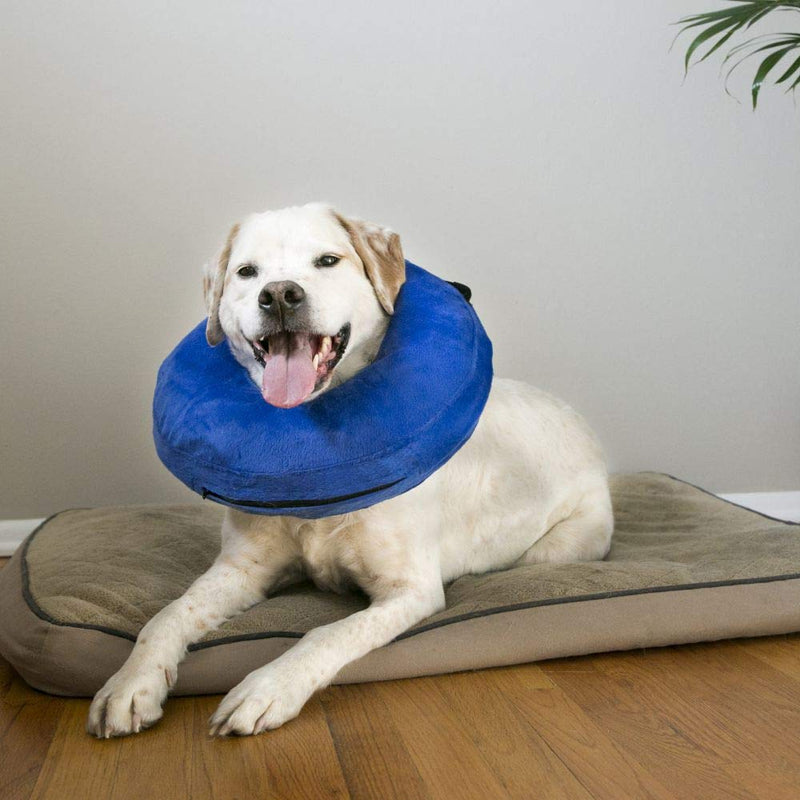 KONG - Cloud Collar - Plush, Inflatable E-Collar - for Injuries, Rashes and Post Surgery Recovery Large Standard Packaging - BeesActive Australia