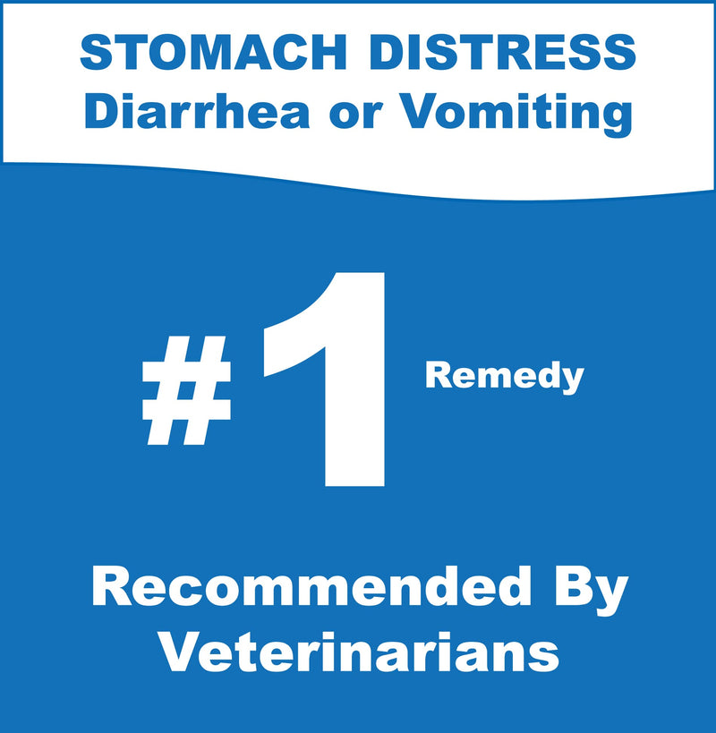 Whole Life Pet Recover. Bland Diet for Cats. Vomiting, Stomach Distress or Diarrhea Relief. Chicken and Rice. Ready in Minutes - Just Add Water - BeesActive Australia
