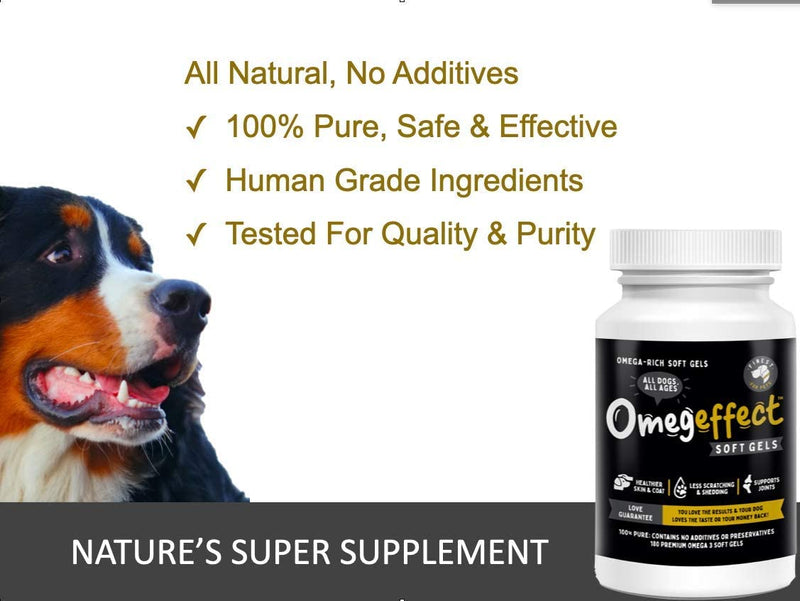 100% Pure Omega 3 Fish Oil for Dogs - Soft Gels for Skin, Coat & Joints. Reduces Scratching & Shedding. from Wild Fish - Better Source of EPA & DHA Than Salmon Oil. Ideal for Medium Large Dogs. 180 Count - BeesActive Australia