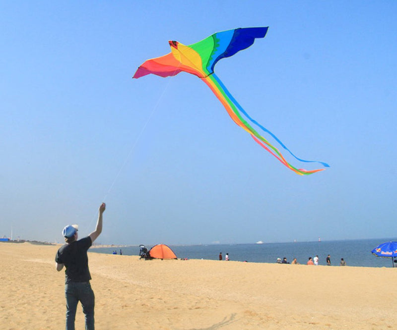 [AUSTRALIA] - HENGDA KITE-Strong Phoenix with Long Colorful Tail!Huge Beginner Phoenix Kites for Kids and Adults 74-Inch Come with String and Handle 
