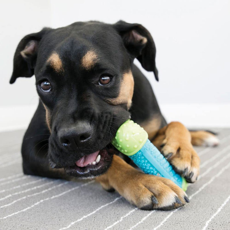 KONG - CoreStrength Ball - Long Lasting Dog Dental and Chew Toy Medium/Large Bone Standard Packaging - BeesActive Australia