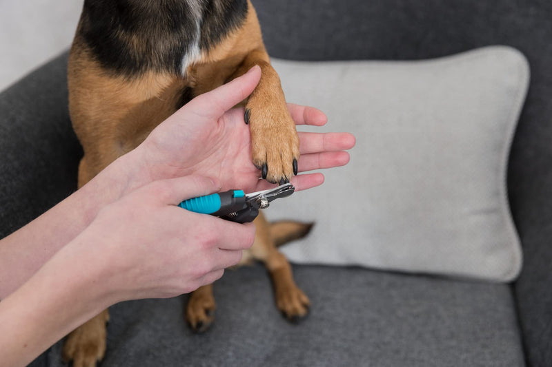 TRIXIE Pet Grooming Nail Clippers, for Small Dogs, Cats, Small Animals and Birds, 4.7" (12cm) - BeesActive Australia