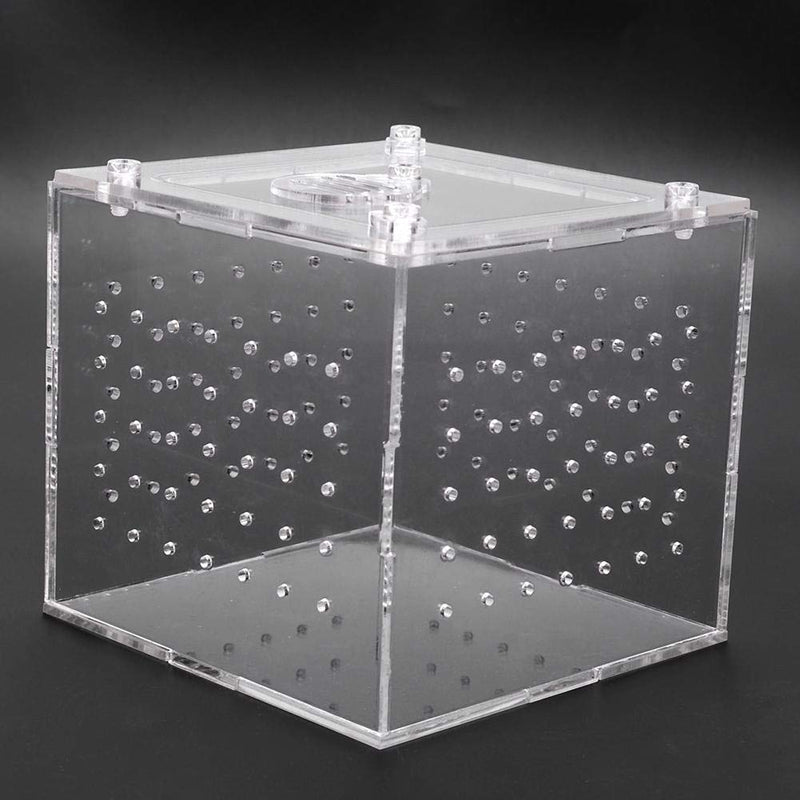 ViaGasaFamido Transparent Reptile Insect Viewing Box, Live Food Storage Acrylic Reptile Breeding Box for Spider Crickets Snails Tarantulas Geckos 3.9x3.9x3.5inch - BeesActive Australia