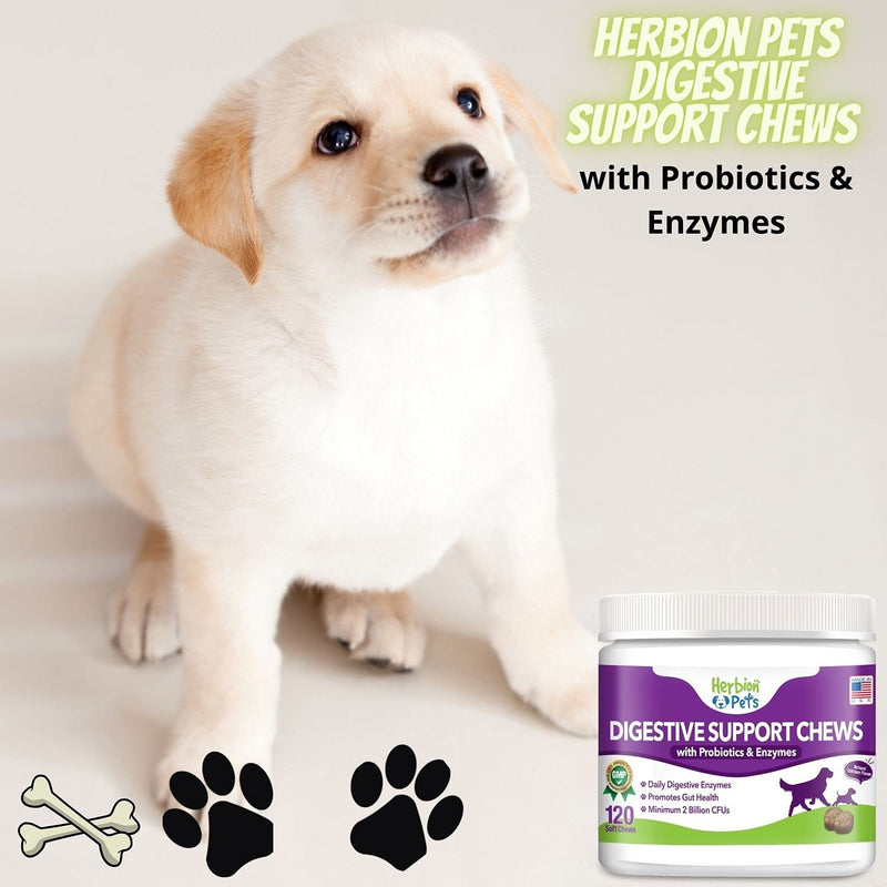 Herbion Pets Digestive Support Chews with Probiotics and Enzymes, 120 Soft Chews - with Daily Digestive Enzymes - for Improved Gut Health - Minimum 2 Billion CFUs - Made in USA - for Dogs 12 Weeks+ - BeesActive Australia