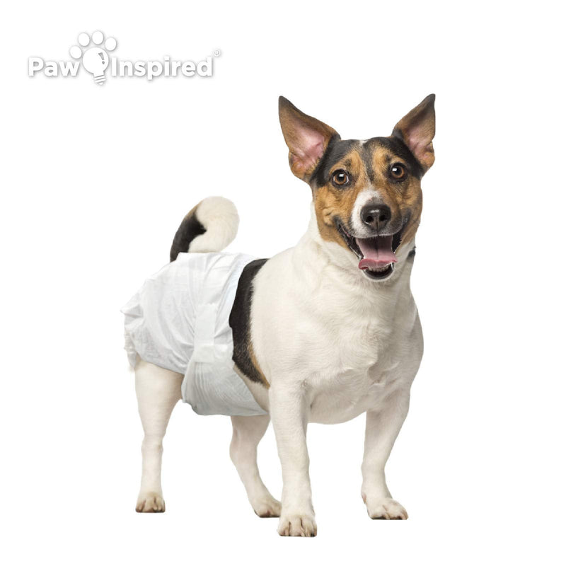 Paw Inspired Disposable Dog Diapers | Female Dog Diapers Ultra Protection | Diapers for Dogs in Heat, Excitable Urination, or Incontinence (X-Large, 12 Count) Small - BeesActive Australia