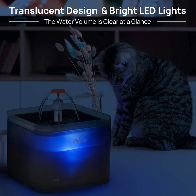 iPettie Neverland Cat Water Fountain with LED Light, 67oz/2.0L, Ultra Quiet Cat Drinking Fountain with Filter, Automatic Pet Water Fountain for Cats and Small Dogs Grey - BeesActive Australia