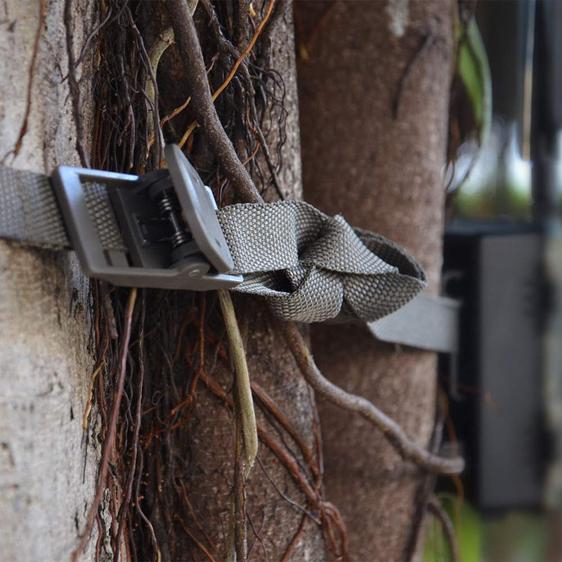 [AUSTRALIA] - WingHome Wildlife Trail Camera Mounting Straps, Nylon Fiber Straps dark olive 