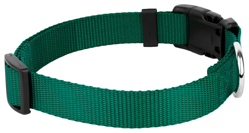 Country Brook Petz - 25+ Vibrant Colors - American Made Deluxe Nylon Dog Collar with Buckle Medium (Pack of 1) Green - BeesActive Australia