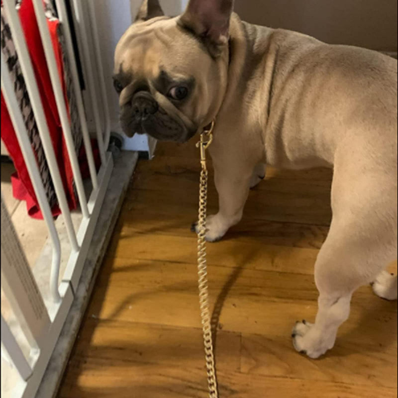Rose Gold Chain Dog Leash,12MM Width Rose Gold Plated Strong Stainless Steel NK Link Chain with PU Leather Handle,Metal Leash for Small Medium,Large Dogs 4.3ft(52 inch) - BeesActive Australia