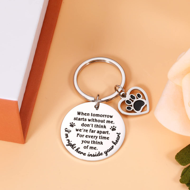 Pet Memorial Gifts, Dog Cat Remembrance Keychain, Loss of Dog Cat Sympathy Gifts Silver - BeesActive Australia
