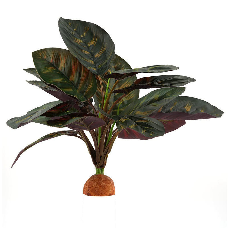 WOLEDOE Reptile Terrarium Decor Plants, Bearded Dragon Tank Accessories fit Crested Gecko Leopard Lizard Chameleon Ball Python Snake Frog - Purple Fake Prayer Peacock Plants - BeesActive Australia