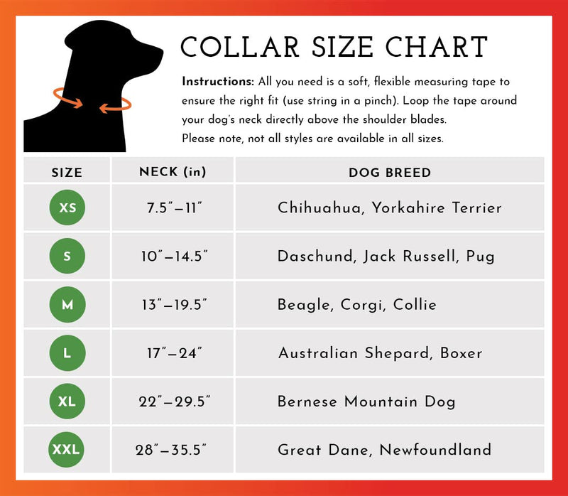 SPOT THE DOG! Reflective Collar Band Safety Apparel for All Dogs - Easy Fastening Closure, High Visibility Fluorescent Orange X-Large - BeesActive Australia