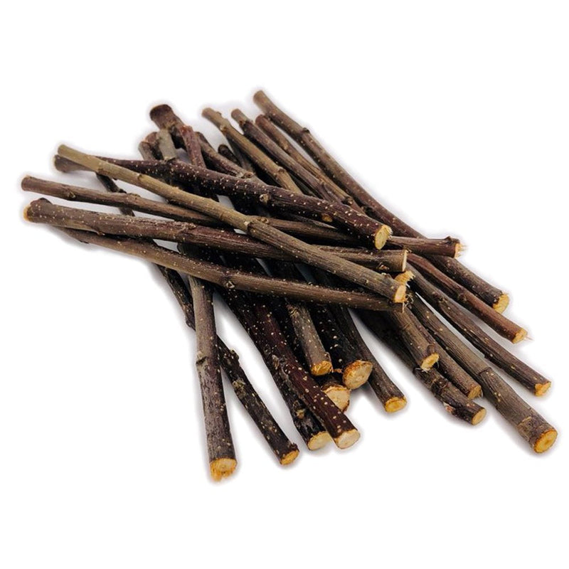 TAI JI Apple Sticks 1.1Pound(500g) Small Animals Chew Toys for Chinchillas Guinea Pigs Rabbits Hamsters Squirrels 1 Count (Pack of 1) - BeesActive Australia