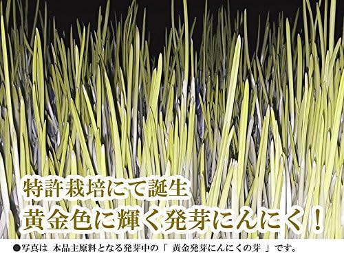 Golden Germinated Garlic Sprout Powder Supplement W Patented Organic JAS Certified Fertilizer (93 grains for about 31 days) - BeesActive Australia