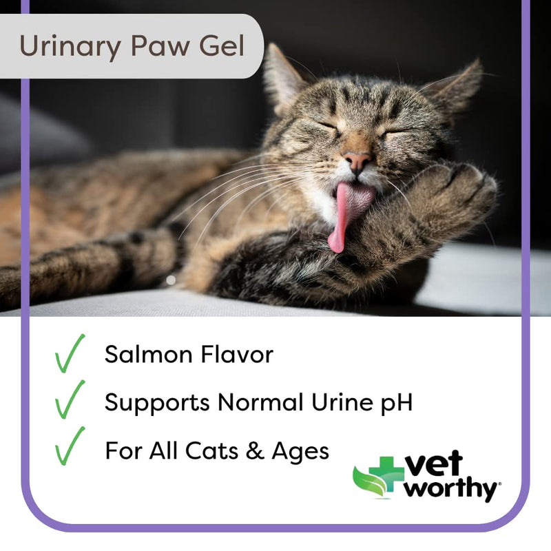 Vet Worthy Urinary Paw Gel for Cats - Cat Supplement to Support Healthy Urinary Tract and Bladder Health - Feline Supplement with Cranberry Extract, L-Lysine and Vitamin C - Salmon Flavor, 3oz - BeesActive Australia