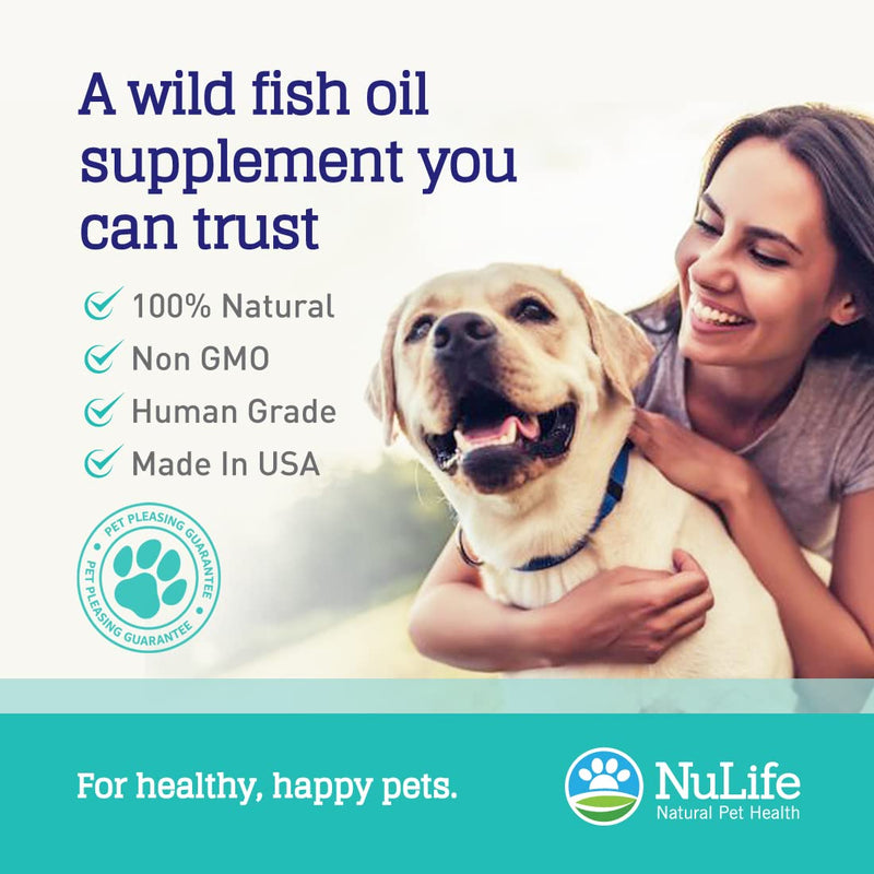 Pure Omega 3 Fish Oil for Dogs Liquid, Wild Caught from Iceland, Skin and Coat Supplement for Shedding, Dry Itchy Skin and Allergies, Rich in EPA + DHA with Omega 3, 6 & 9 Fatty Acids, 16 oz - BeesActive Australia