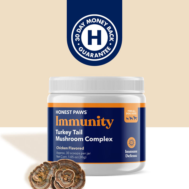 Honest Paws Dog Digestive and Immunity Booster – Turkey Tail Mushroom Blend - Shiitake, Reishi, Maitake Mushroom Extract Formula - No Filler, No Additives - (1.05 oz) - BeesActive Australia