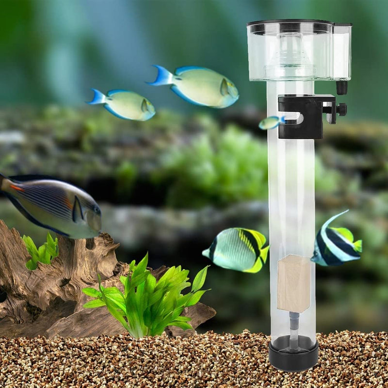 DONGKER Fish Tank Protein Skimmer Separator, Aquarium Filter Separator for 20-30cm Sea Water Tanks - BeesActive Australia