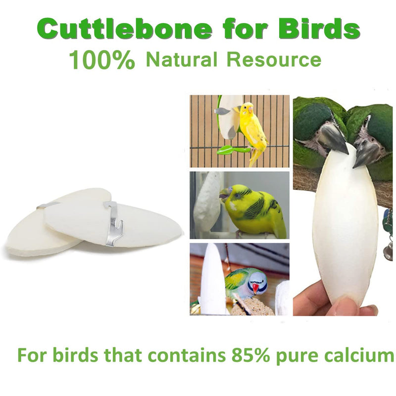 Jmxu's 5"-5.5" Bird Cuttlebone for Parakeets, Cuddle Bone with Metal Holder, Chewing Cuttlefish Bone for Sharp Beaks, Natural Birds Calcium Suitable for Parrots Cockatiels Budgie 6 pack-5"-5.5" each - BeesActive Australia