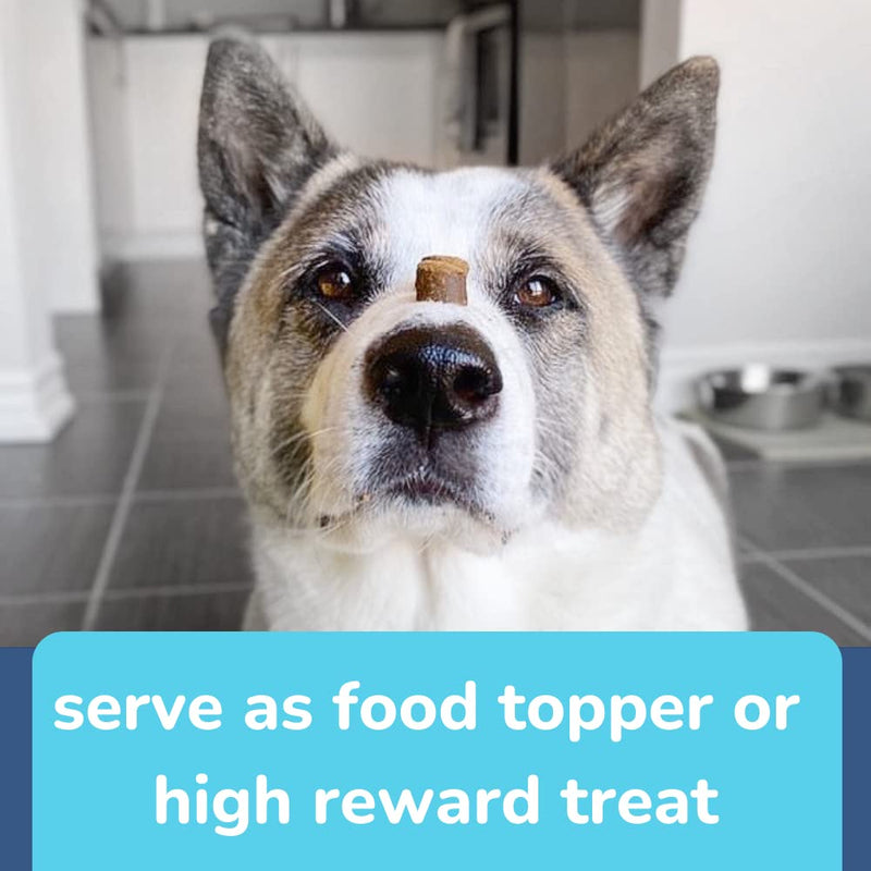 healthybud Turkey Healthy Gut Dog Treats & Food Topper, Sensitive Stomach Dog Treats - Dog Nutritional Supplement & Pet Chews, Probiotics, Prebiotics, Digestive Enzymes, Dog Stool Hardener 4.6 Ounce (Pack of 1) - BeesActive Australia