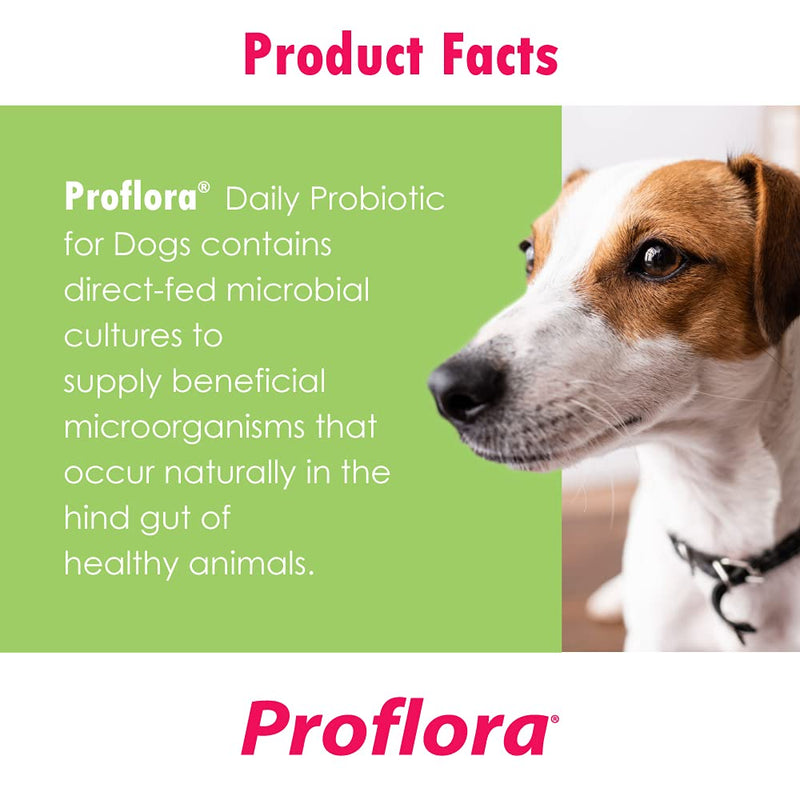 Proflora Probiotic for Dogs - Healthy Digestion - Boost Immune System - Normal Bowel Function - Skin and Coat Health - Supplement for GI Tract - 30 Servings - BeesActive Australia