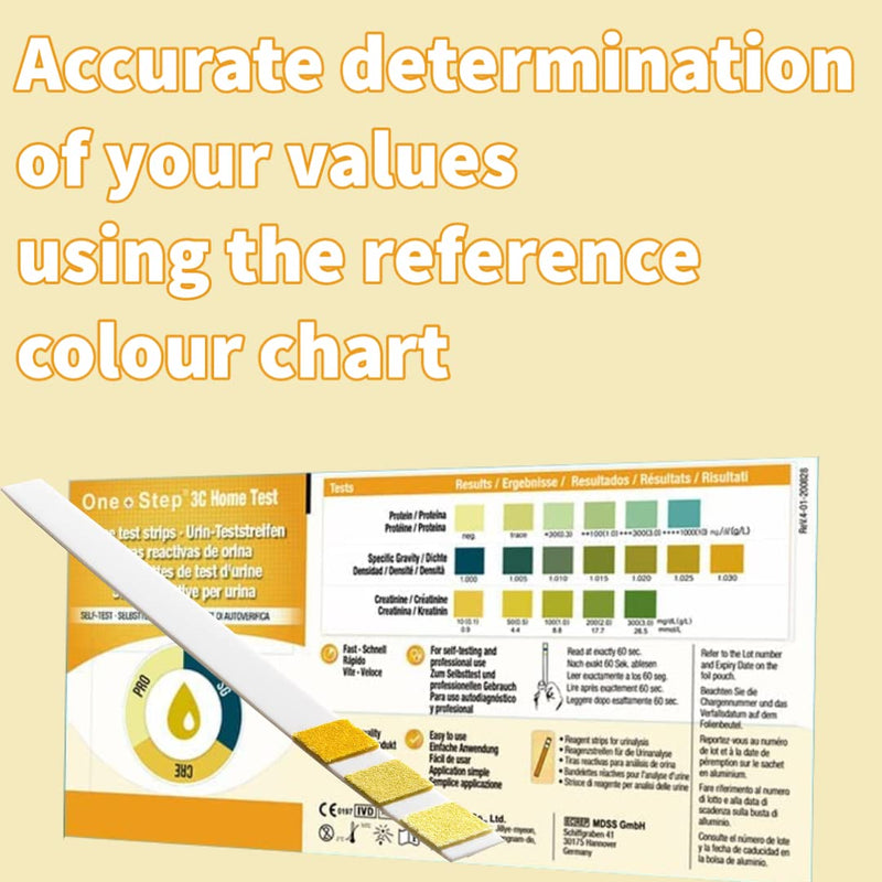 One Step: 5 x Kidney Function Test Strips, Creatinine, Protein and Specific Gravity Urine Kits - BeesActive Australia