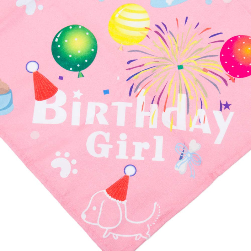 ADOGGYGO Dog Birthday Bandana Hat Set Dog Puppy Birthday Party Supply Dog Bandana Boy Girl Puppy Birthday Hat Scarf for Small Medium Dog Pet Pink - BeesActive Australia