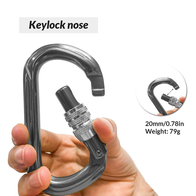 KAILAS UIAA Certified Oval Locking Carabiner Constructed for Rock Climbing Mountaineering and Rescure Standard Alumimun Screw Lock Gate with Major Axis Strength 25KN Iron Gray One Size - BeesActive Australia