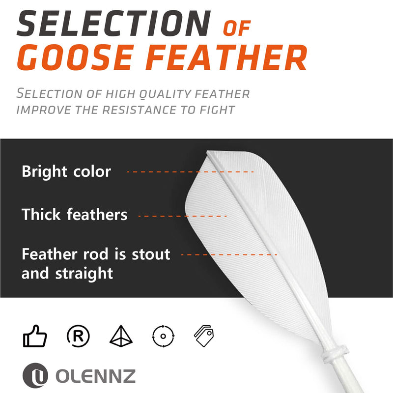 OLENNZ Badminton Birdies Shuttlecocks High-Speed Goose Feather Pack of 12 Durable and Stable for Indoor and Outdoor - BeesActive Australia