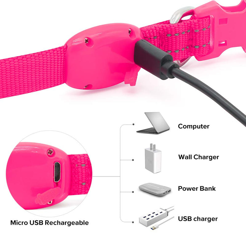 BSEEN Light Up Dog Collars - Rechargeable Glowing LED Dog Collar for Small Dogs & Cats Pink - BeesActive Australia